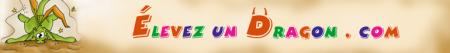 &eacute;levez un dragon.com